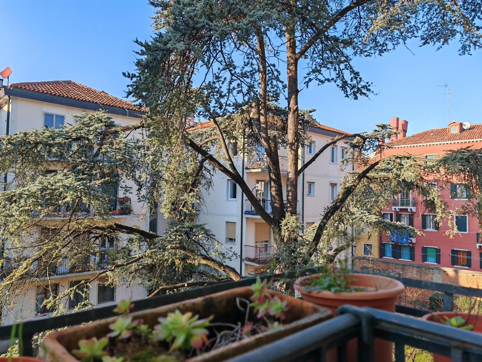 Goldmine Guest House 2 Venezia Camera foto